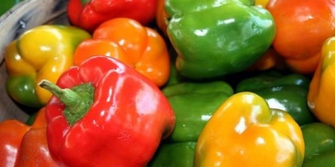 Trebam li roniti sadnice paprike